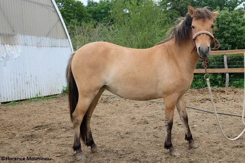 Little miss sunshine